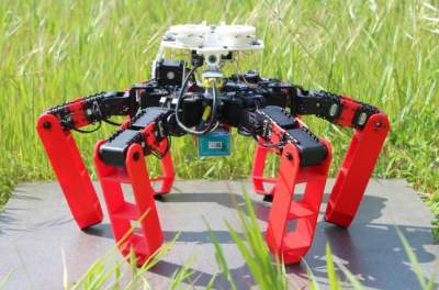 Пустынные муравьи вдохновили ученых на создание новых роботов