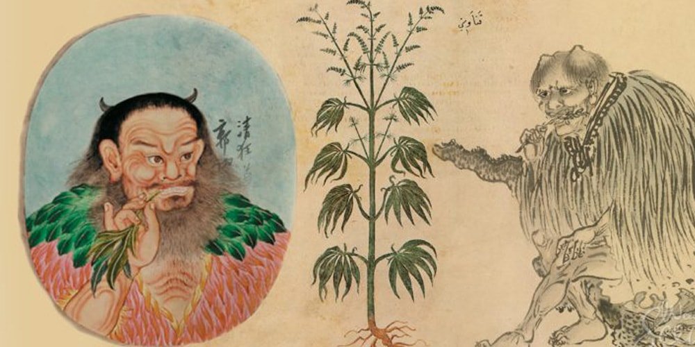 Древние китайцы использовали коноплю в погребальных ритуалах
