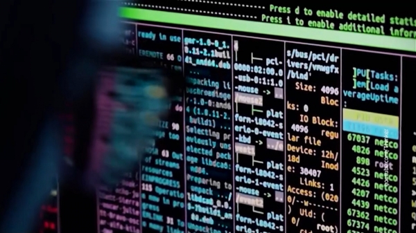 Комитет Госдумы одобрил законопроект о легализации белых хакеров